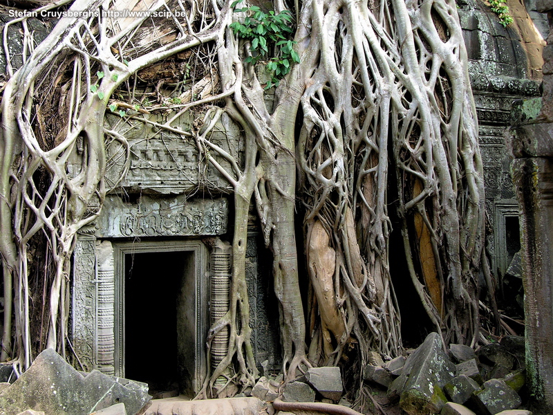Angkor - Ta Phrom  Stefan Cruysberghs